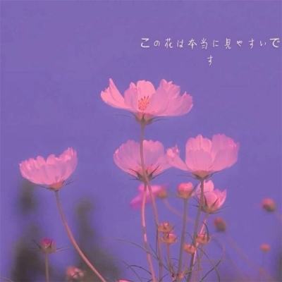 B体育官方网站下载