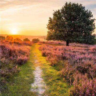 2023管家婆资料正版大全澳门app下载